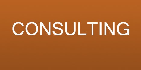 Business Consulting Business Consulting